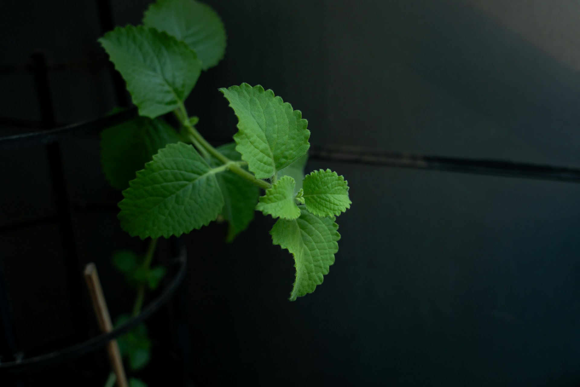 Background 1